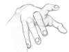 hands
